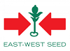 CÔNG TY TNHH EAST-WEST SEED (HAI MŨI TÊN ĐỎ) 1 CONG TY TNHH EAST WEST SEED HAI MUI TEN DO