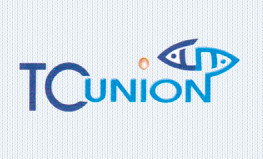 Tuyển nhân viên quản lý chất lượng 1 Công Ty TNHH T.C. Union Việt Nam