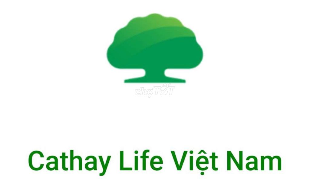 Tuyển Nhân Viên Kinh Doanh Bảo Hiểm Nhân Thọ - Công Ty TNHH Bảo Hiểm Nhân Thọ Cathay Life Việt Nam-chi nhánh Mỹ Tho 1 Tuyen Nhan Vien Kinh Doanh Bao Hiem Nhan Tho